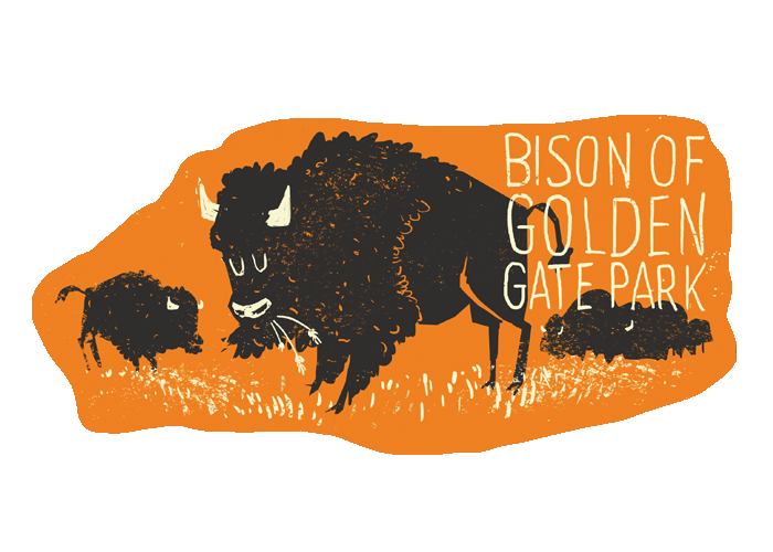 Bi-animals_bison_082113