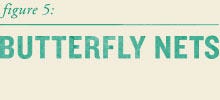 Out_header_butterflys
