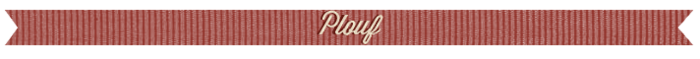 Plouf01