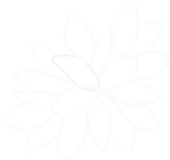 Appreciationbottomright