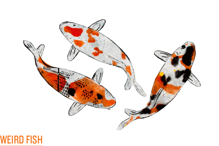 Jn03_weird_fish_2