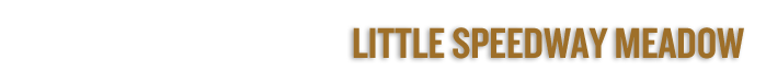 Littlespeedway_brn