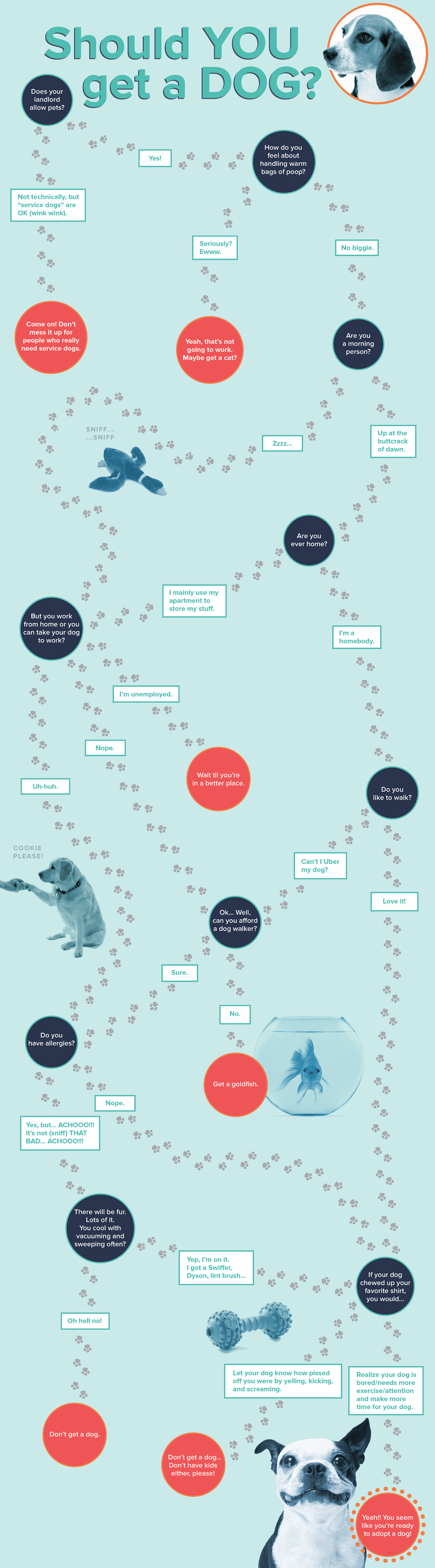 FLOWCHART: Should You Get a Dog?