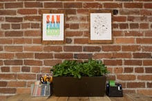 Bolditalic-environment-0024_small