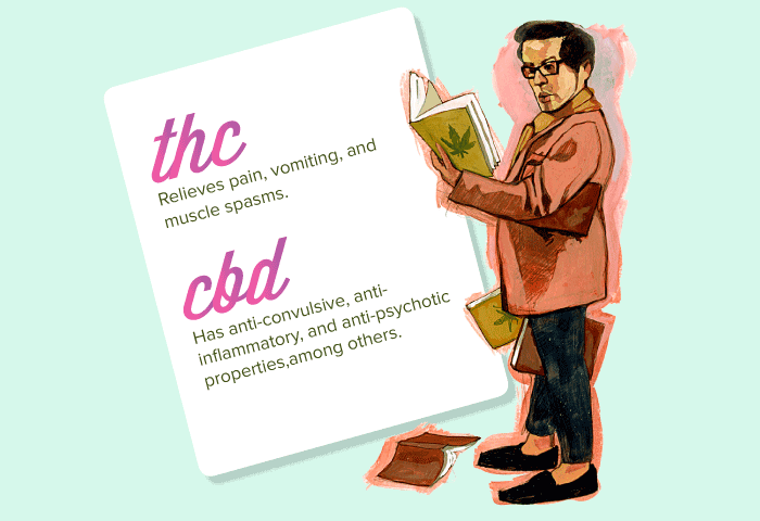 Bi-weed_illo1_080213