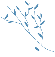 Paranoidpark_spirit_v4