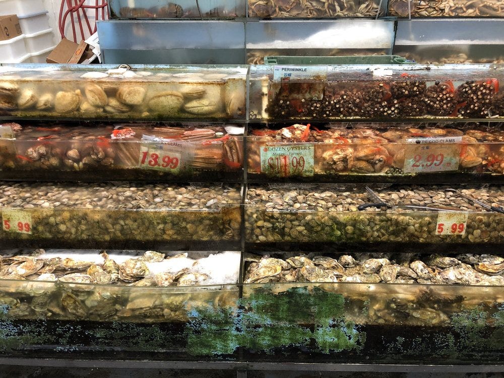 A case of 8 clear plastic bins filled either with olives or (dead) fish.