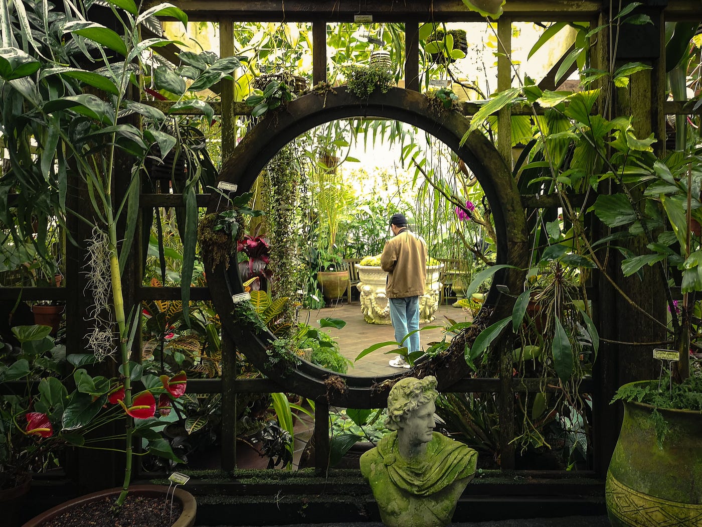 A person standing in the SF Botanical Garden, seen through a circular wall feature surrounded by plants.
