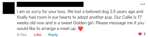 Nextdoor comment offering Paul a meetup with a 17-month-old golden retriever puppy named Callie.