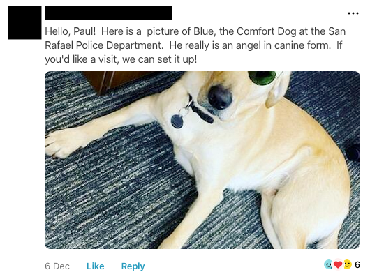 Nextdoor comment inviting Paul to meet the comfort dog—”an angel in canine form”—plus a pic of a lounging golden retriever.