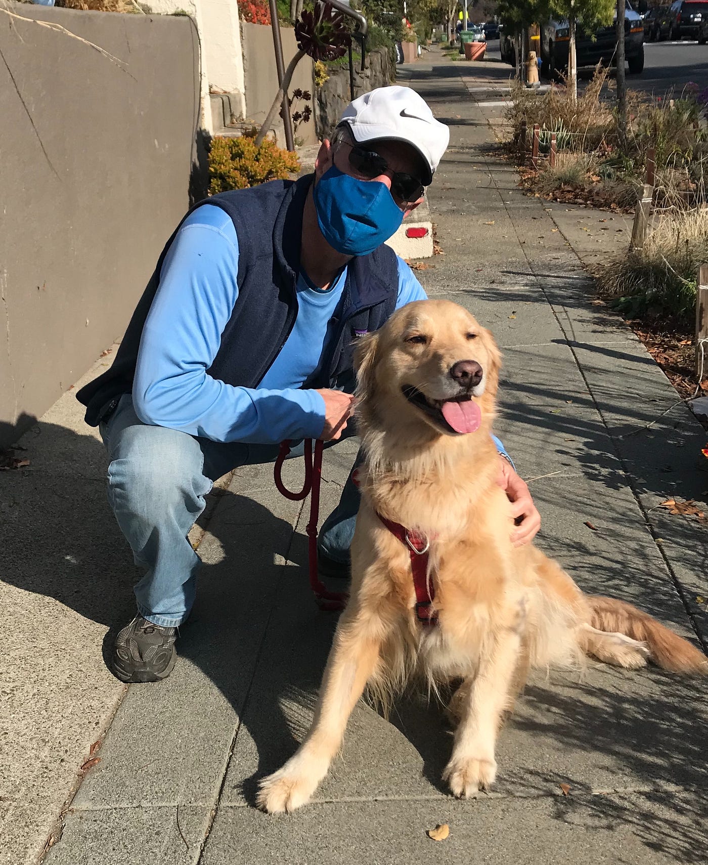 Paul, wearing a face mask, squatting next to a satisfied-looking golden retriever on a neighborhood sidewalk.