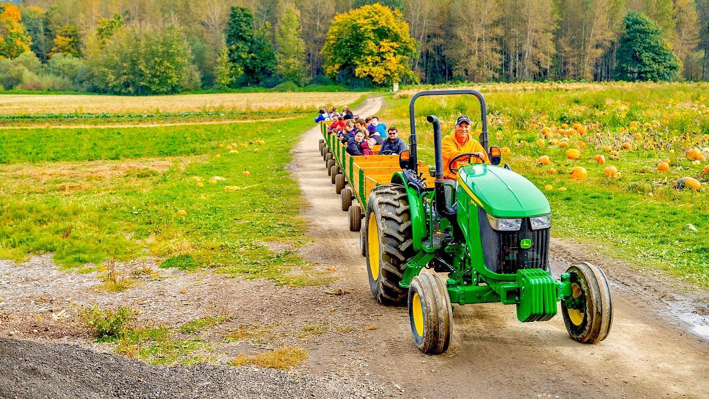 A hayride with many truckbeds behind a green tractor.