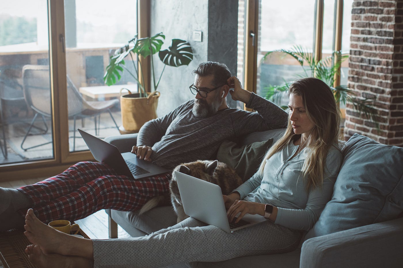 A man and a woman sitting next to each other on a couch, both ignoring each other in favor of their laptops, with a dog.