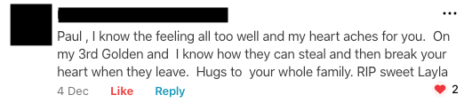 Nextdoor comment: “…On my 3rd golden and I know how they can steal and then break your heart when they leave...”