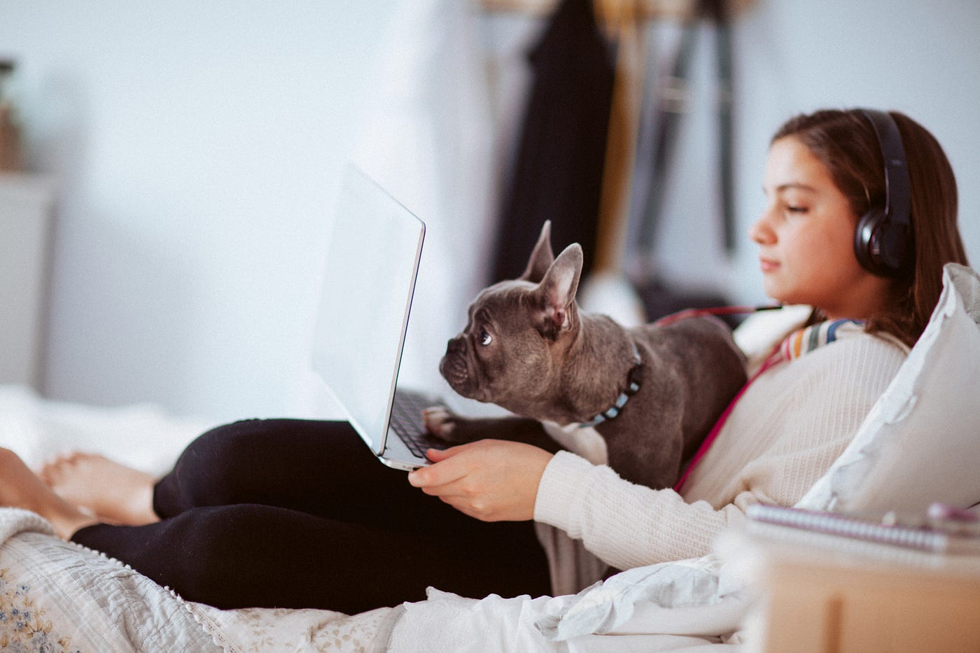 High school student on her computer at home with her dog sitting in her lap.