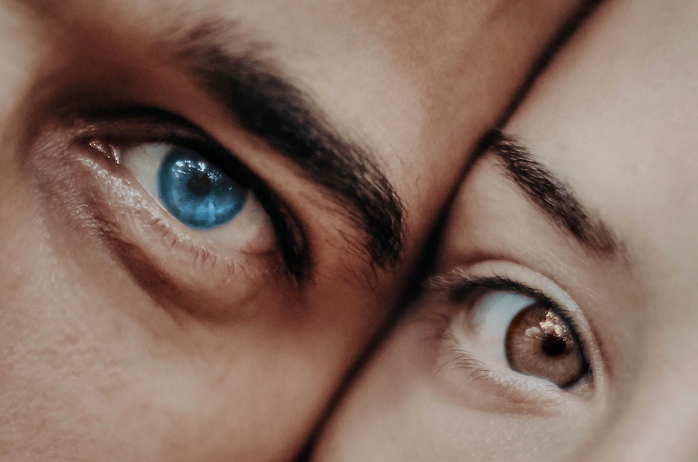 Extreme closeup of two people’s faces pressed cheek-to-cheek. The older man has blue eyes and the young woman has brown.