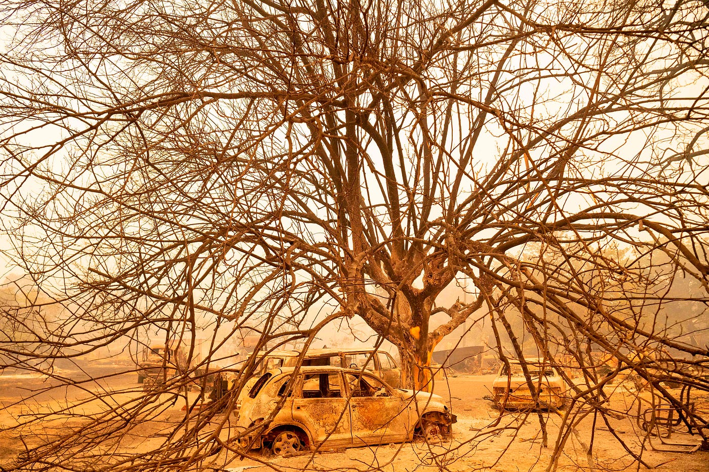 An abandoned car under a dead-looking tree. The sky is gray with smoke and everything’s covered with brownish dust.