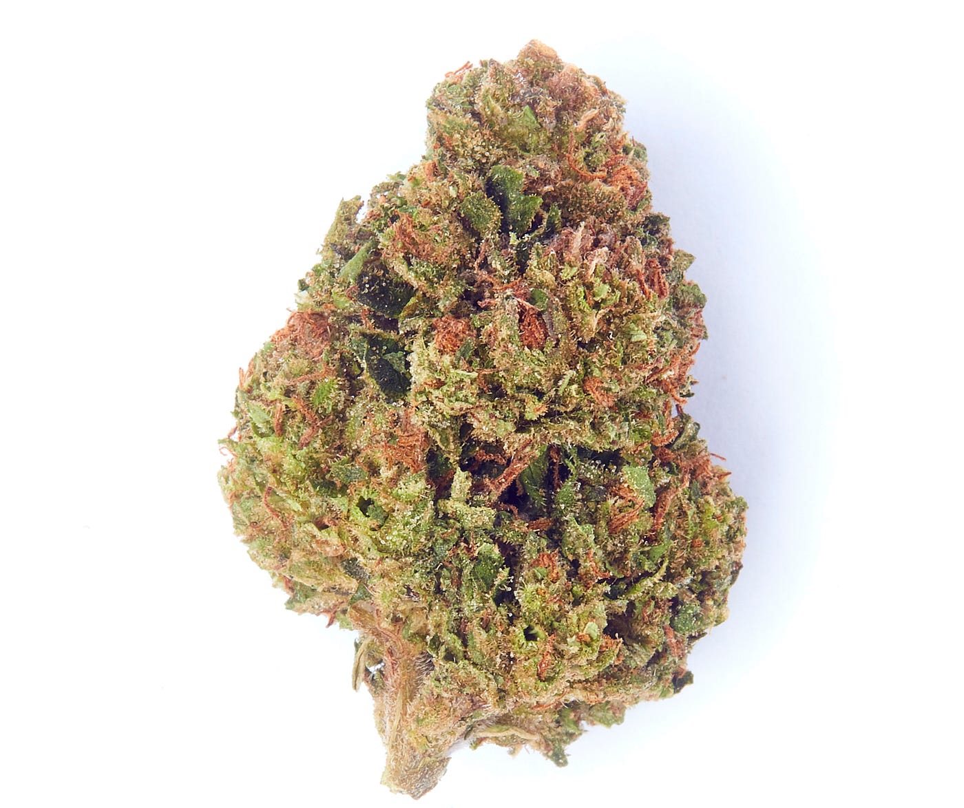 Closeup on a nug of flower.