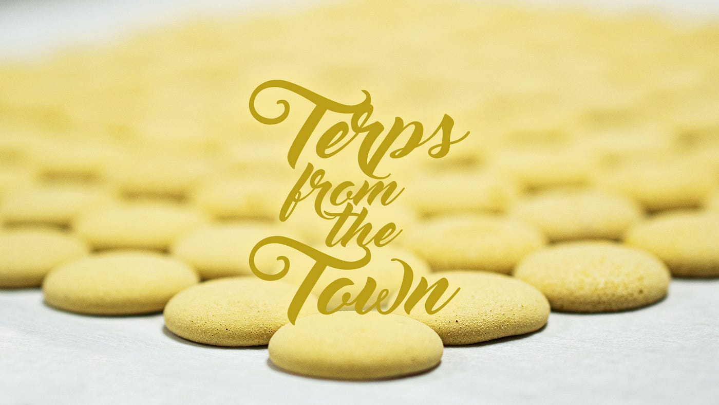 A closely-spaced grid of yellow macarons overlaid with the text “terps from the town.”
