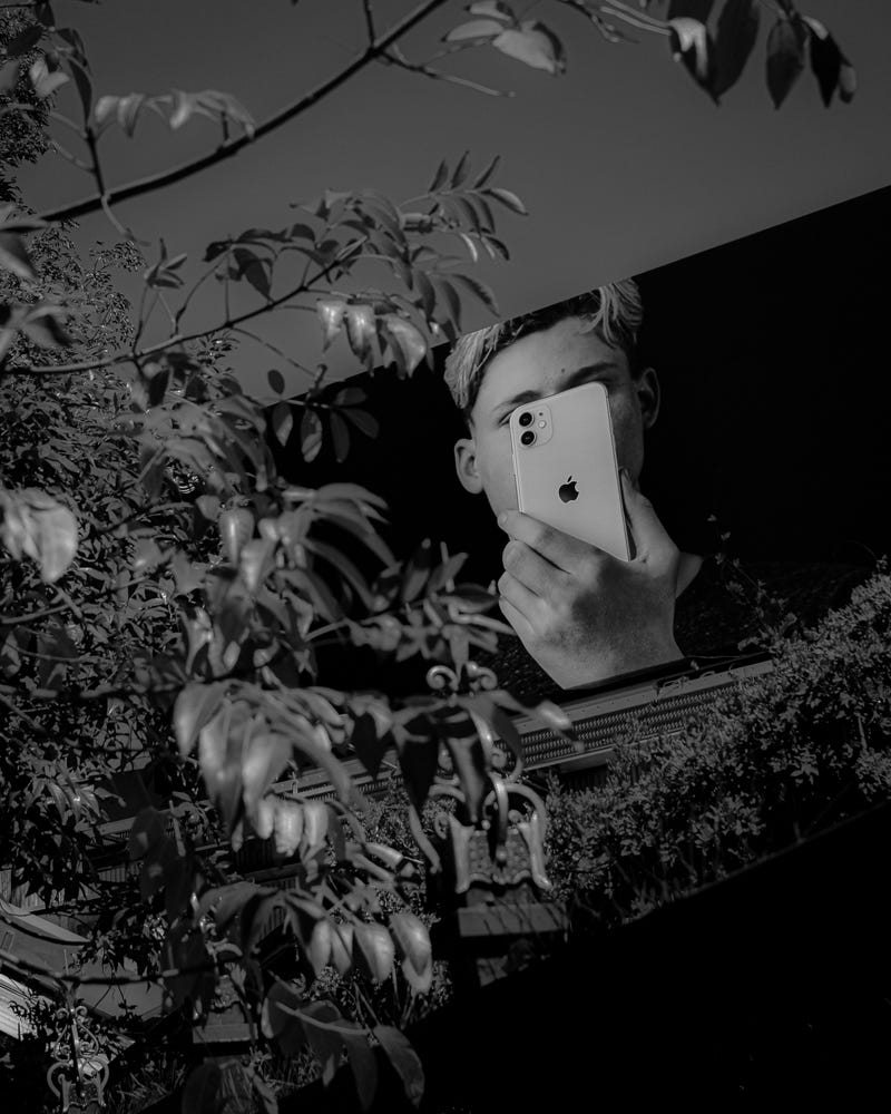 Black-and-white photo of an iPhone billboard among leaves.