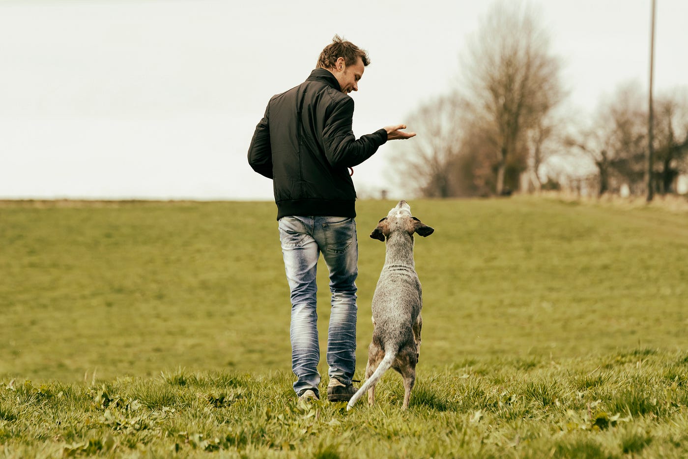 Man with his dog out in a field of grass.