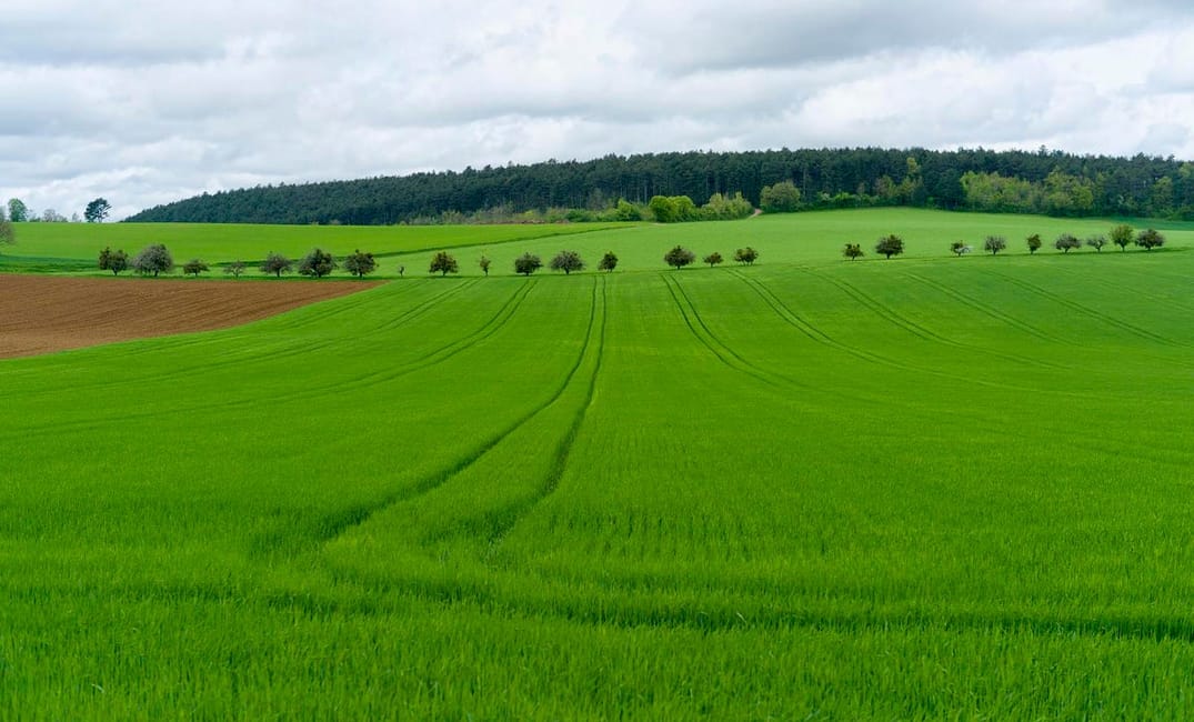 Go Ahead — Eat Genetically Modified Food. It’s Not Bad For You.