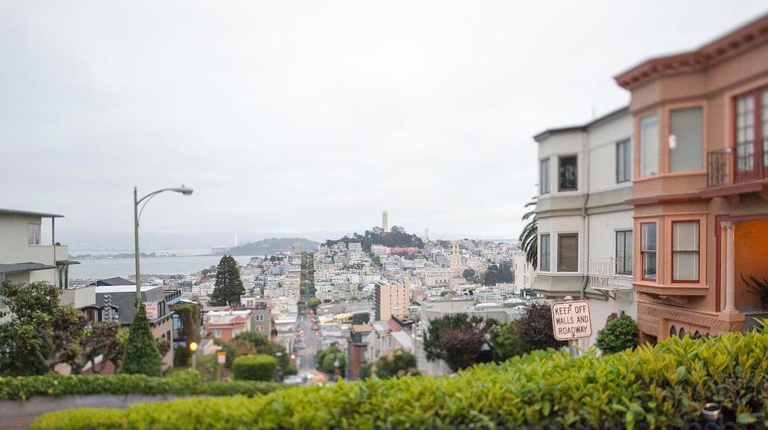 Welcome to the New Bold Italic