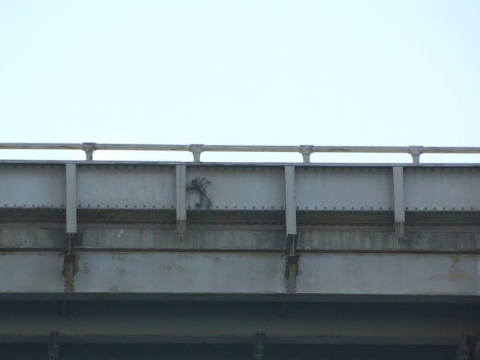 Have You Seen the Bay Bridge Troll? — The Bold Italic — San Francisco