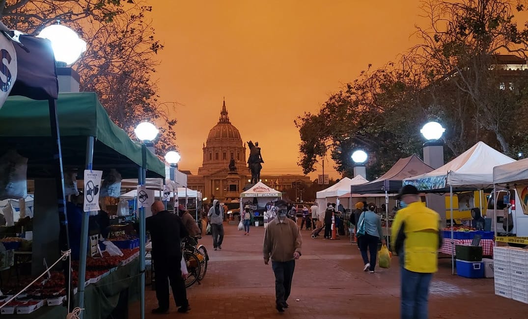Despite Fires and Covid, the Tenderloin Farmers Market Endures