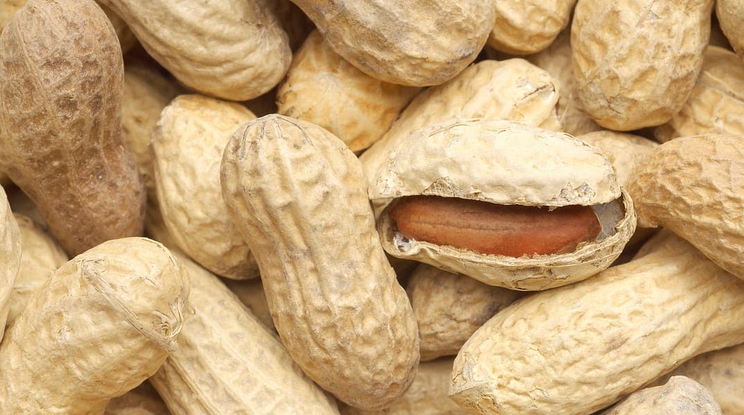 RIP KK Cafe, Long Live Peanut Milk — The Bold Italic — San Francisco