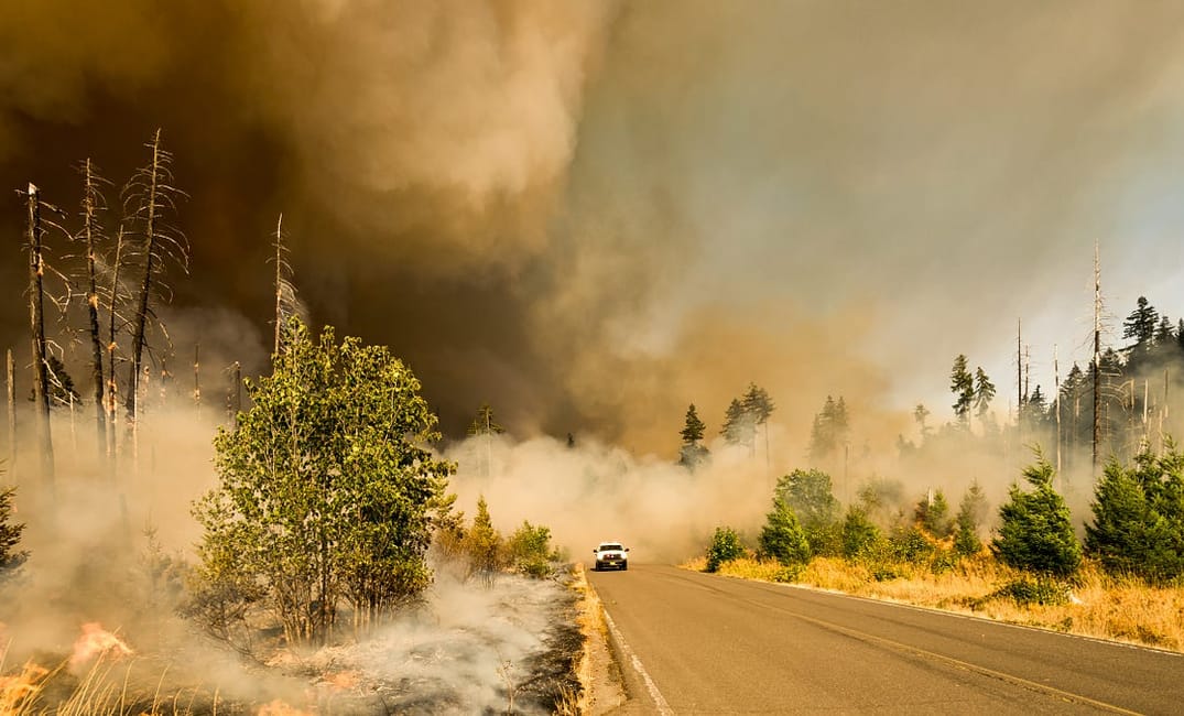 How to Evacuate From a Wildfire — A Comprehensive Checklist