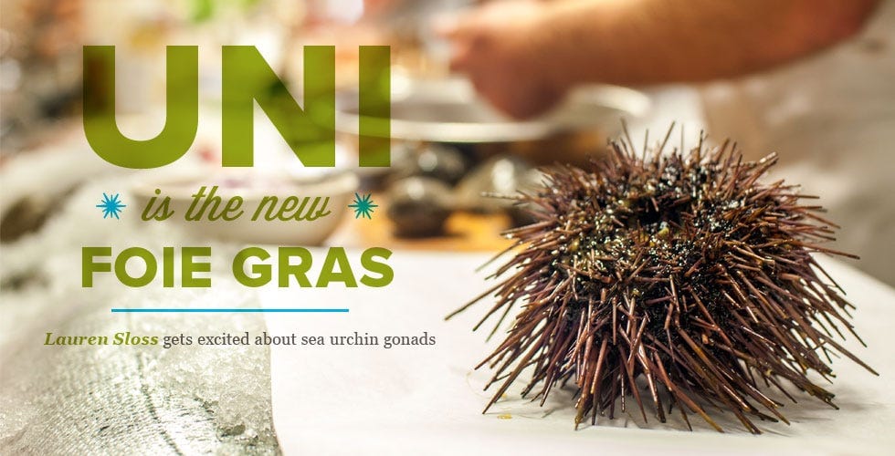 Uni Is the New Foie Gras — The Bold Italic — San Francisco