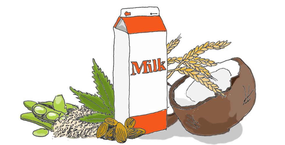 A Complete Guide to Milk Alternatives — The Bold Italic — San Francisco