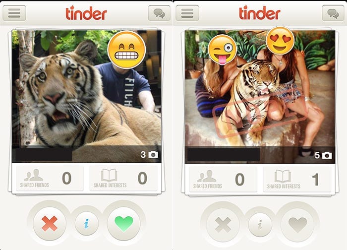 What’s up With All These Tigers on Tinder?