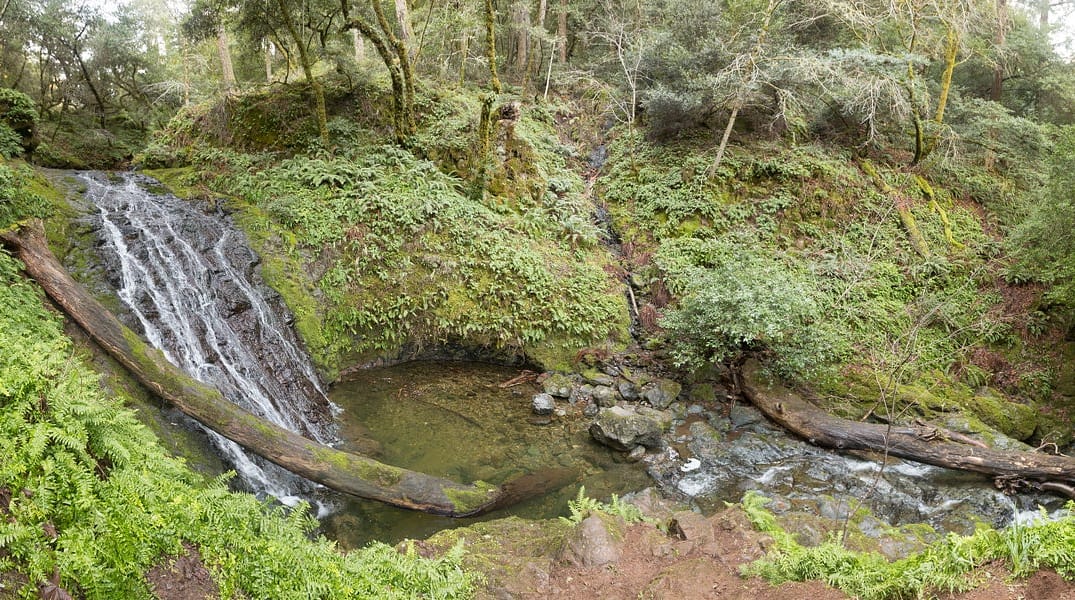 The Seven Best Waterfall Hikes Near San Francisco