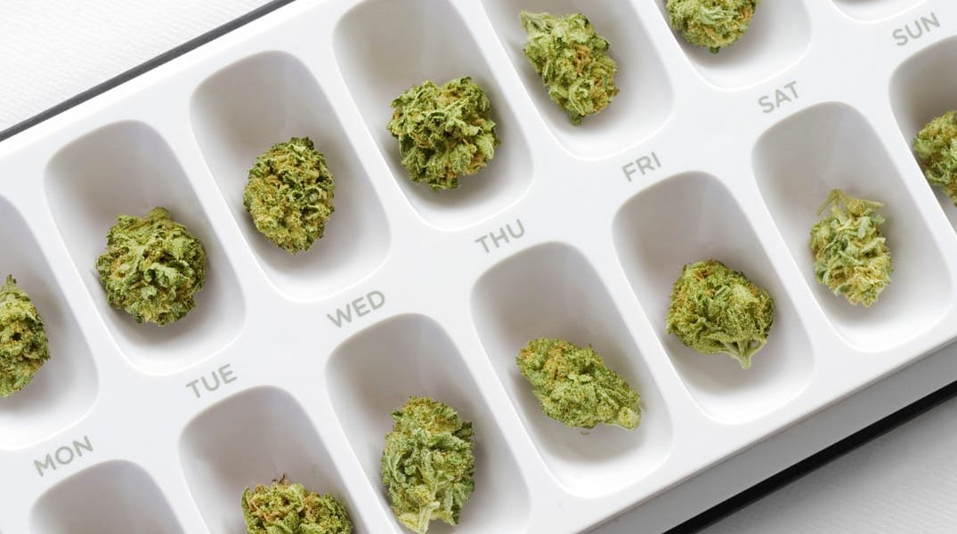 SF Gets Weed of the Month Club Because Of Course — The Bold Italic — San Francisco