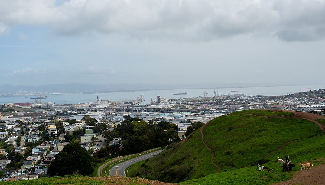 Why I Love Living in Bernal Heights