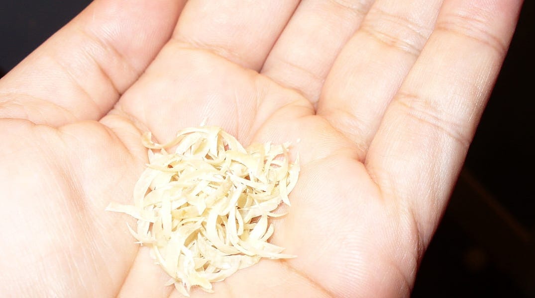 Just Stop Clipping Your Nails on the Bus — The Bold Italic — San Francisco