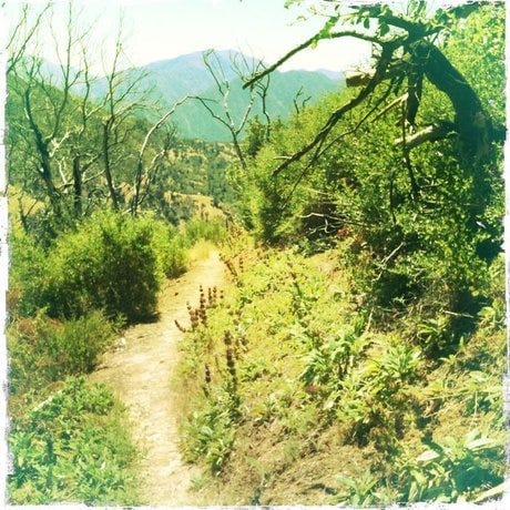 Skinny Dipping at the Zen Monastery — The Bold Italic — San Francisco