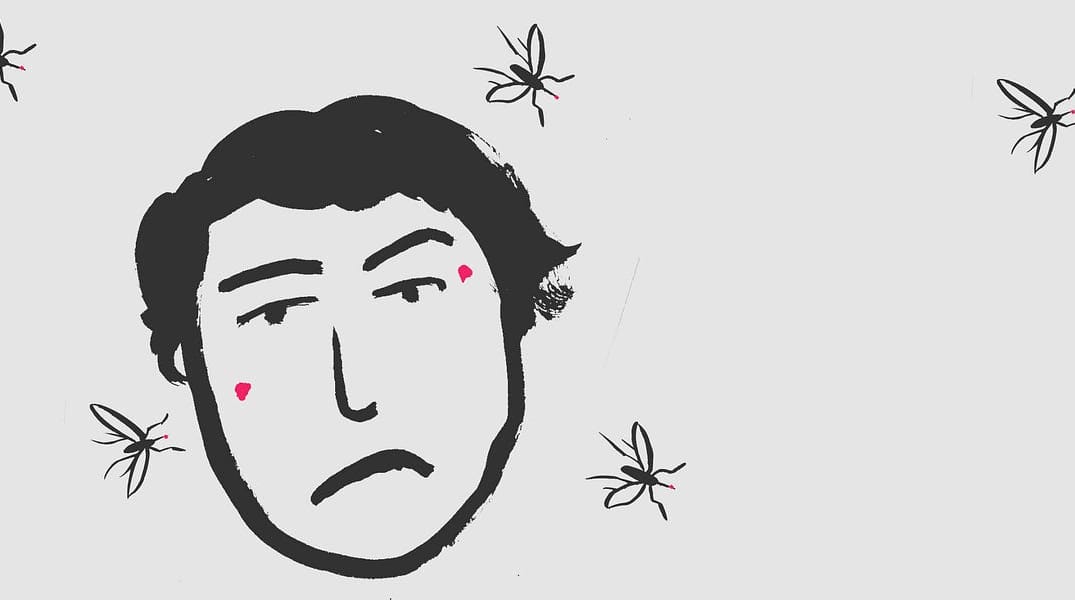 SF Not Prepared for Hot Mosquito Hell — The Bold Italic — San Francisco