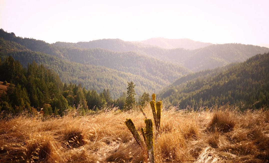 Mendocino County’s Breathtaking Beaches, Forests and Vineyards
