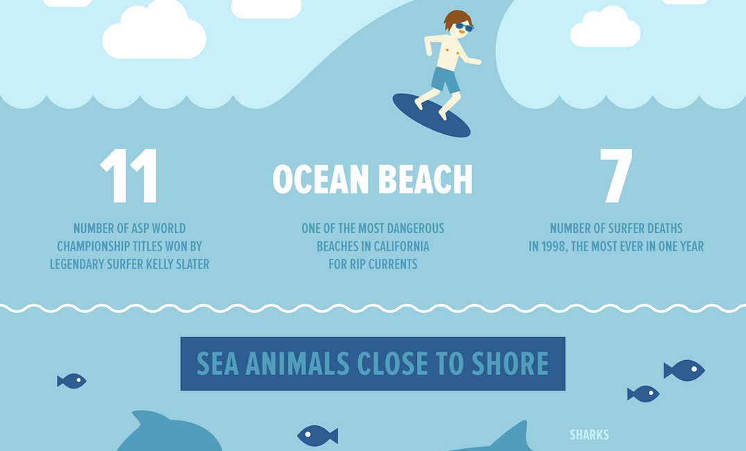 Everything You Wanted to Know About SF Beaches — The Bold Italic — San Francisco