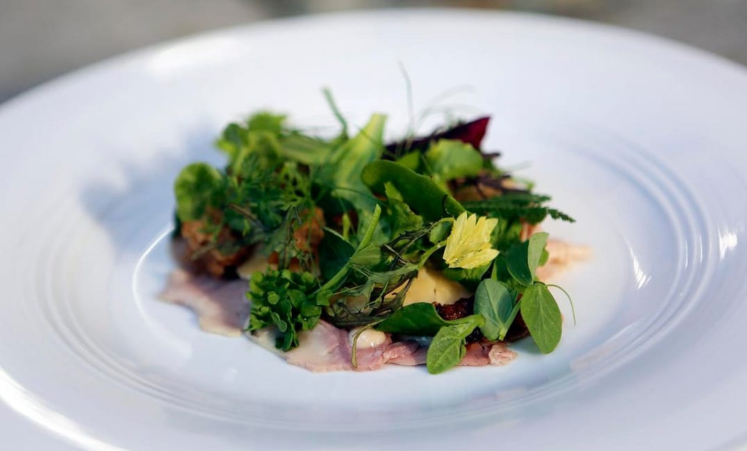 5 Places to Grab a Healthy Bite in San Francisco — The Bold Italic — San Francisco