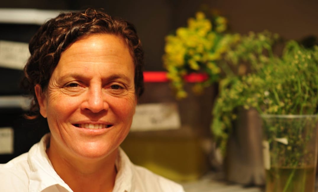 “Top Chef” Master Traci Des Jardins on Hangover Food, Burritos and the Food Scene — The Bold Italic — San Francisco