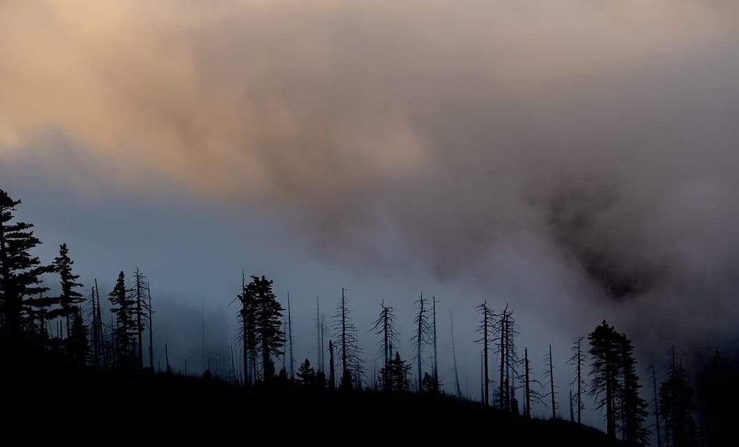 How to Deal With the Bay Area's Wildfire Smoke