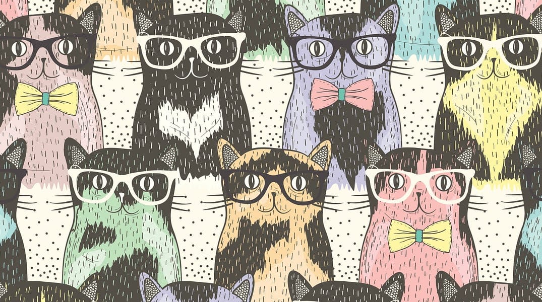 Bring Your Hipster Cat to Dolores Park on Sat