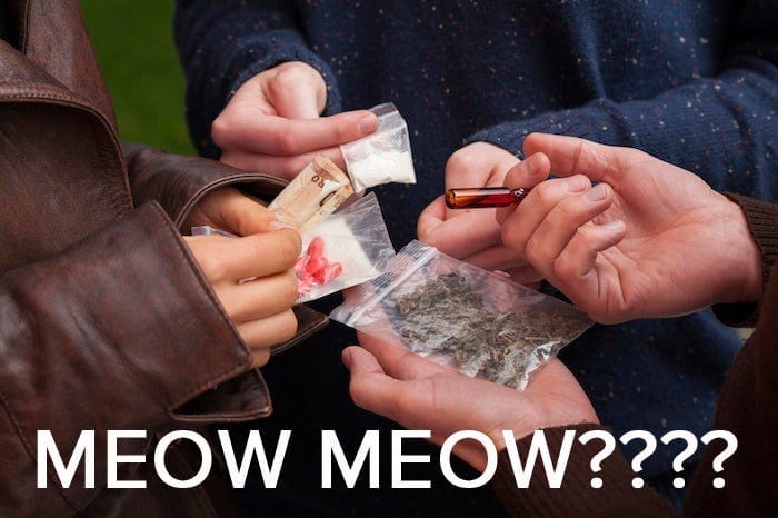 What the Hell is Meow Meow? 2014 Drug Guide