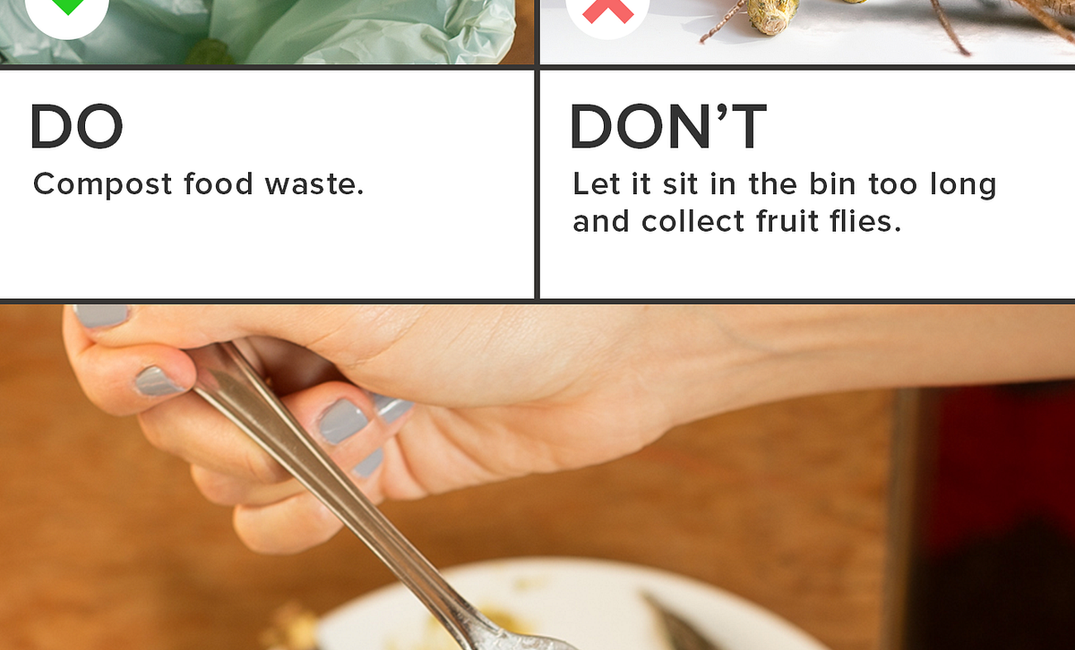 The Do’s, Don’ts, and Oh God, Please Don’ts of Waste Disposal — The Bold Italic — San Francisco