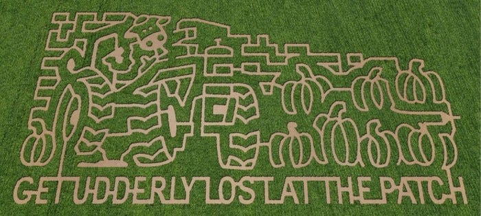 Get Lost in Bay Area Corn and Hay Mazes — The Bold Italic — San Francisco