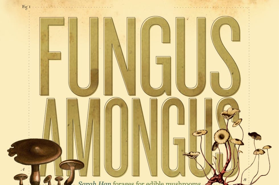 Fungus Amongus